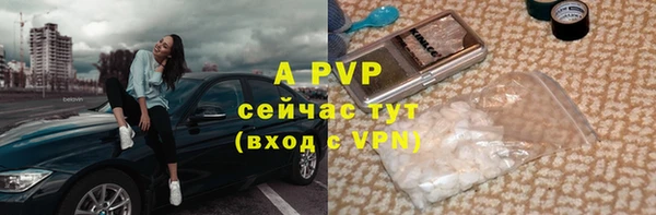 крисы Алексин