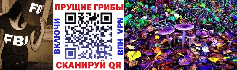 мега зеркало Орлов Псилоцибиновые грибы Psilocybe наркошоп